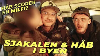 SJAKALEN & HÅB I BYEN!? (BLIVER FRONTET!?)