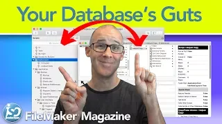 FileMaker Database Investigation - Exposing the guts of your solution