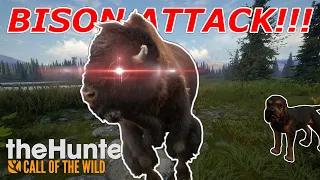 This Is Why You Don't Get Close! | theHunter: Call of the Wild - Yukon [6]