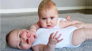 TRY NOT TO LAUGH - Aww! Chubby Babies are so Cute - Chubby Babies Funny Moments - HappyLand