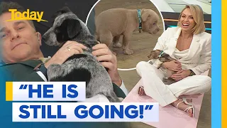 Today host loses it after pooch poops during puppy yoga | Today Show Australia