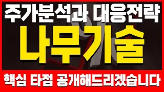 [주식]나무기술 - 핵심대응전략 주가 모멘텀 분석! 이 영상하나로 끝! 목표가는 결국 여깁니다