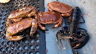 Big Lobster & Crabs in the Crab Pots , Lobster Catch Clean Cook