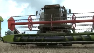 Shooting rabbits from a combine harvester