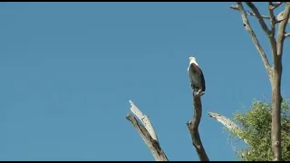 Highlights around Murchison falls National park in Uganda