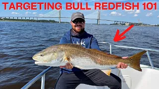 Targeting Bull Redfish 101 [Baits, Handling, & More]