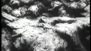 Katyn: Slaughter and Silence - opening sequence