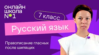 Правописание гласных после шипящих. Видеоурок 5. Русский язык 7 класс