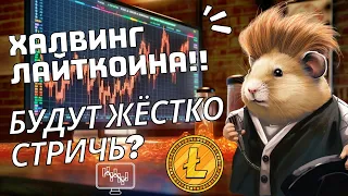 ХАЛВИНГ ЛАЙТКОИНА!! БУДУТ ЖЁСТКО СТРИЧЬ? SEC: УДАЛЯЙТЕ ВСЕ КРИПТОВАЛЮТЫ КРОМЕ БИТКОИНА