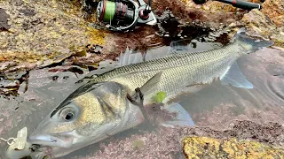 5 TIPS TO CATCH MORE FISH | A BEGINNERS GUIDE TO BASS LURE FISHING