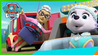 Stella et Everest sauvent Mlle Marjorie et plus encore! - PAW Patrol dessins animés pour enfants