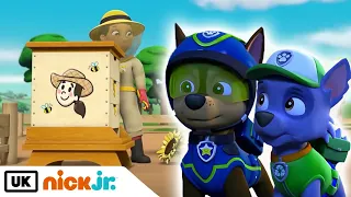 PAW Patrol | Pups Save the Honey | Nick Jr. UK