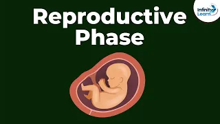 Reaching Adolescence - Reproductive Phase | Don't Memorise