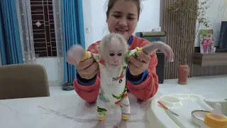 So Cute, Smart monkey Kiti searches for food on his own when his mother is away