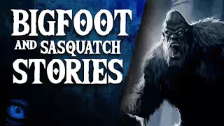 ANGRY BIGFOOT - 30 SCARY SASQUATCH STORIES AND BIGFOOT SIGHTINGS - What Lurks Above