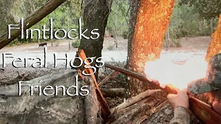 Flintlocks Feral Hogs and Friends/Traditional Muzzleloading Fun!