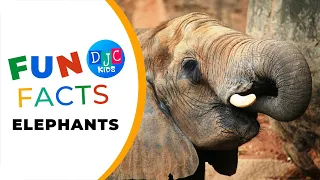 Ele-fun Adventures: 5 Amazing Facts About Elephants for Kids! 🐘🌟