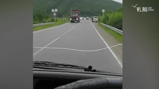 VL.ru - водители большегрузов нарушают ограничения на мосту Штыково