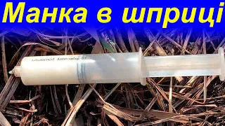 Манка в шприці для рибалки! Класна насадка з манки для карася! Рецетп манки для рибалки