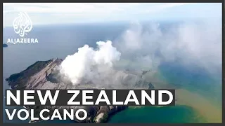 At least five killed as New Zealand volcano erupts on tourist island