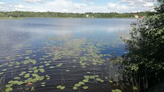 КАРЕЛИЯ СУОЯРВСКИЙ РАЙОН