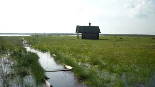 Валерий Лялин.    У прозорливца.