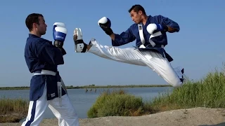 Yoseikan kempo - a master class at the dojo Yoseikan Budo.