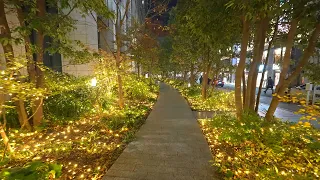 Tokyo Minato Christmas lights walk - Azabudai Hills and Tokyo tower・4K HDR