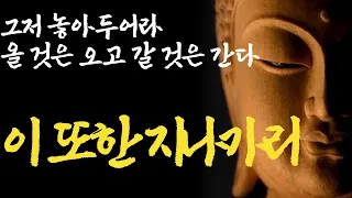 삶이 불안해서 미치겠다면|딱 1일만 이렇게 살아보라.|‘돈, 사랑, 꿈‘ 의미를 잃었을 때마다 봐야할 영상|이또한지나가리라|불교|인생조언|부처님말씀|즉문즉설|석가모니|철학|ASMR