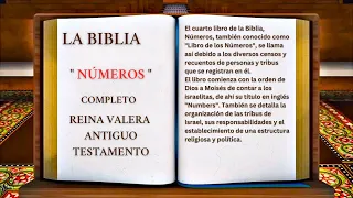 ORIGINAL: LA BIBLIA LIBRO CUARTO DE MOISÉS " NÚMEROS " COMPLETO REINA VALERA ANTIGUO TESTAMENTO