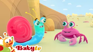 Mr. Snail at the Beach  🏖️ | Sea, Crab and Summer Fun 🌞 Cartoons for Kids  @BabyTV