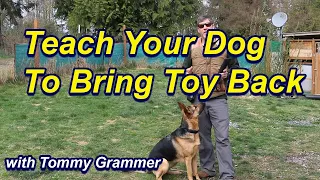Simple Trick to teach your dog to bring toy back