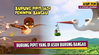 Ketika Burung Pipit Di Asuh Oleh Burung Bangau || Alur Cerita Film A STROKS Journey