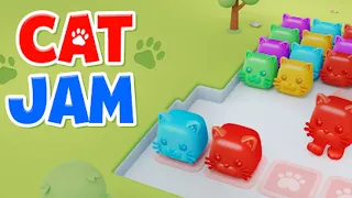 Cat Jam 3D: Block Match Game Gameplay Android Mobile