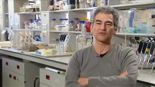 Model Organisms - Drosophila - Charalambos Kyriacou (Full Interview)