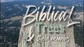 BIBLICAL TREES