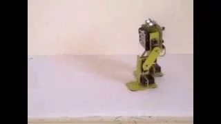 Robot bipede ElettronicaIn