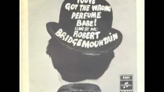 Robert Bridgemountain - You've got the wrong perfume (psych beats breaks madness)