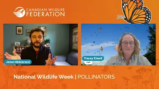 Pollinators with Tracey Etwell