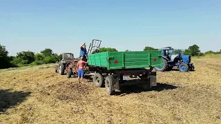 Жара +36, Заготовка сена, мтз 80 и пресс Киргизстан. Heat +36, Hay harvesting, mtz 80