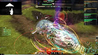 GW 2  WvW Berserker Dagger/Hammer POV