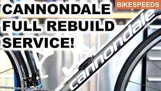 Cannondale Evo Rebuild! Road Bike Service Restoration!