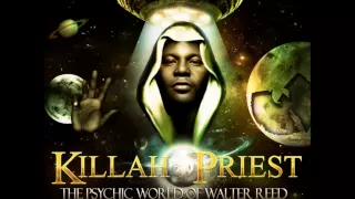 Killah Priest - New Reality