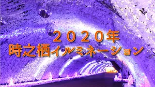 ２０２０年　時之栖イルミネーション