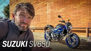 2022 Suzuki SV650 Review | Daily Rider