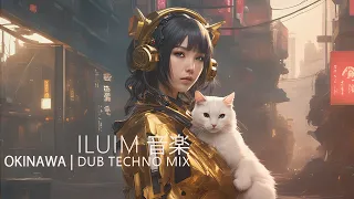 iluim | Okinawa | Dub techno mix for cats, robots and humans
