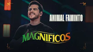 ANIMAL FAMINTO - Banda Magníficos (DVD A Preferida do Brasil)