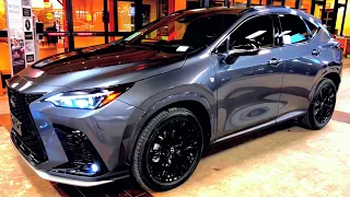 2023 Lexus NX350 F Sport Walkaround