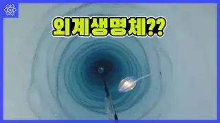 [최신뉴스] 최근 발견된 기괴한 생명체