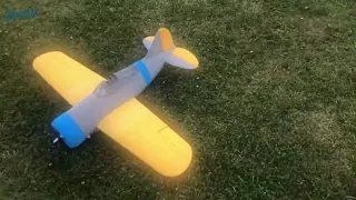 Detailed 3D Printed RC Model of the F2A Buffalo at 1/10 Scale